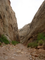 Capitol Reef Tanks Trail